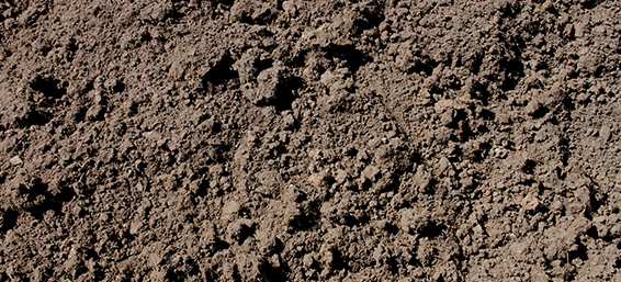 topsoil