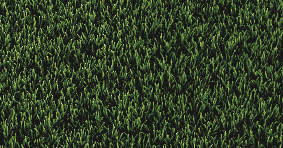 photo of green lawn grass
