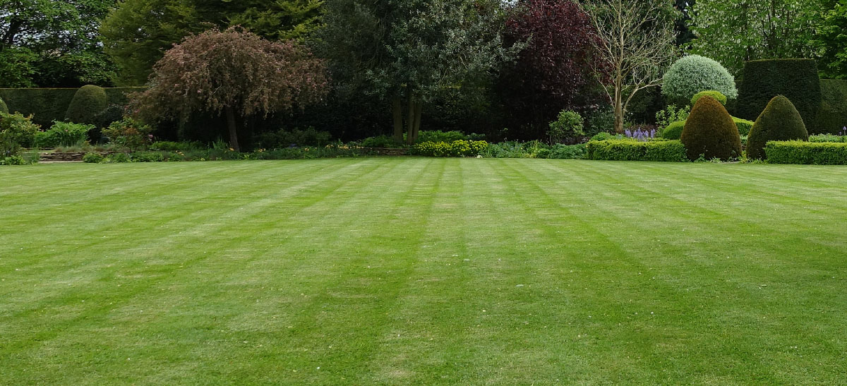 green lawn with landscaping