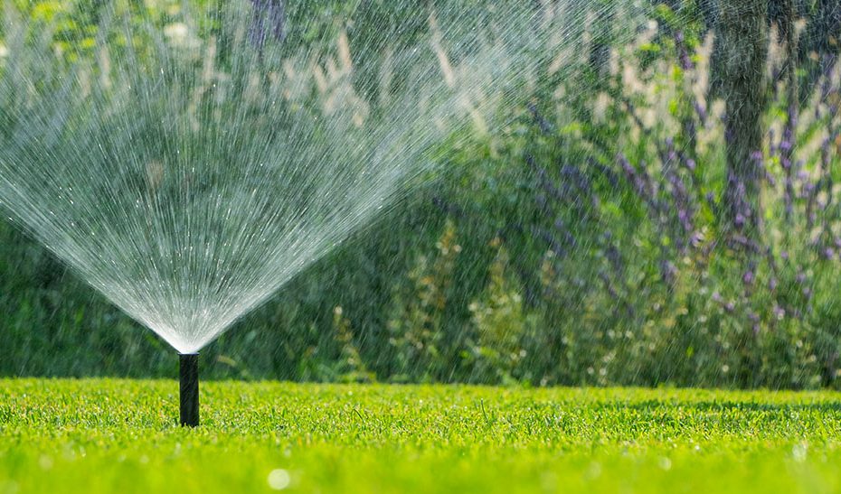 sprinkler on lawn