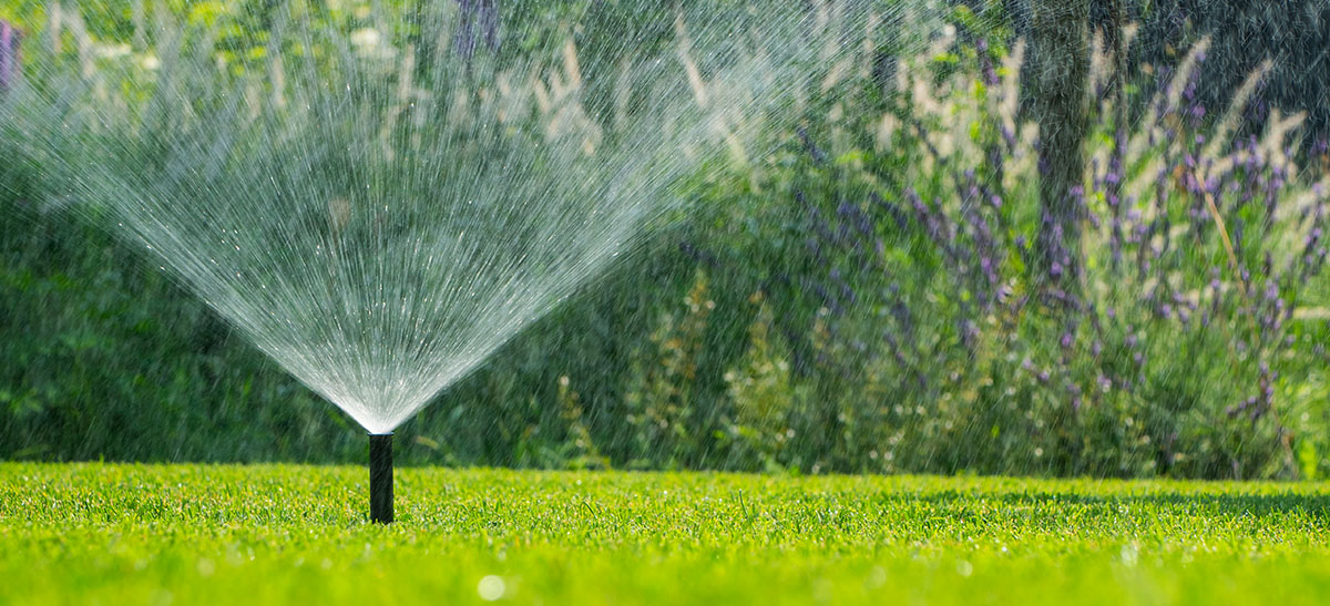 sprinkler on lawn