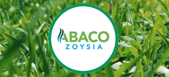 photo of abaco zoysia grass with logo